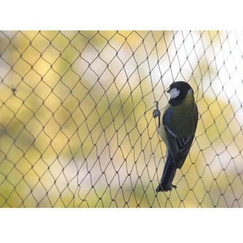 HDPE Anti Bird Net