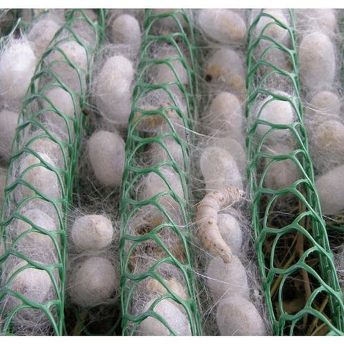 HDPE Sericulture Net